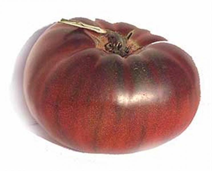 BLACK BRANDYWINE Beefsteak tomato 20 seeds